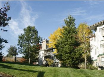 Lush established landscaping